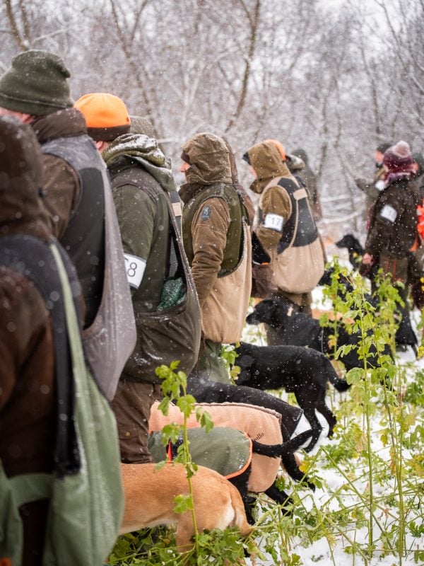 Line of people with dogs on a field trial